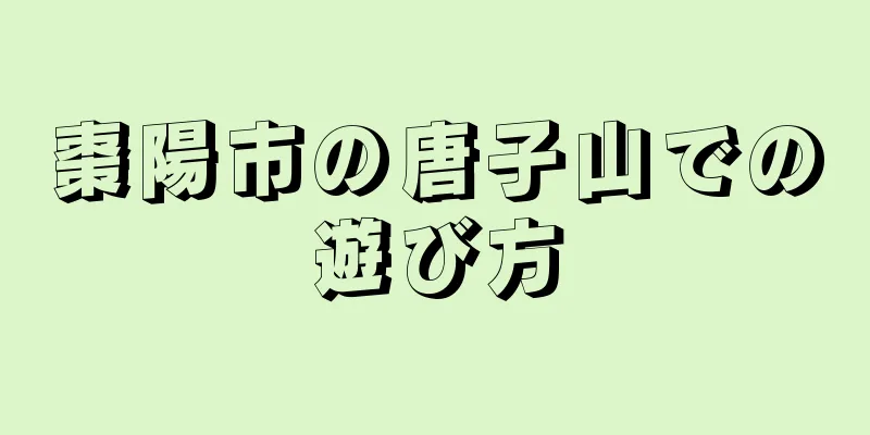 棗陽市の唐子山での遊び方