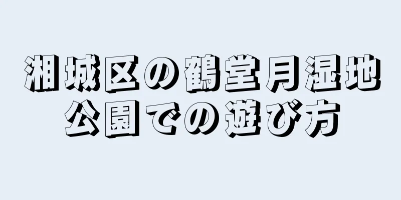 湘城区の鶴堂月湿地公園での遊び方