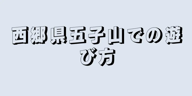 西郷県五子山での遊び方