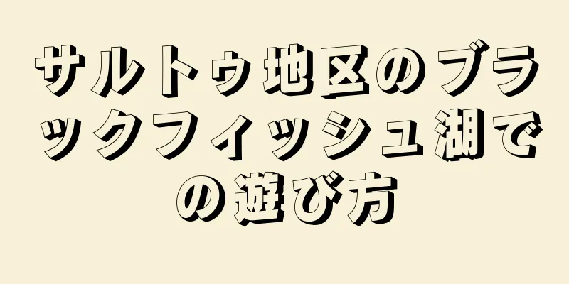サルトゥ地区のブラックフィッシュ湖での遊び方