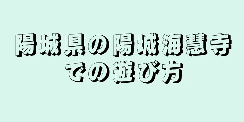 陽城県の陽城海慧寺での遊び方
