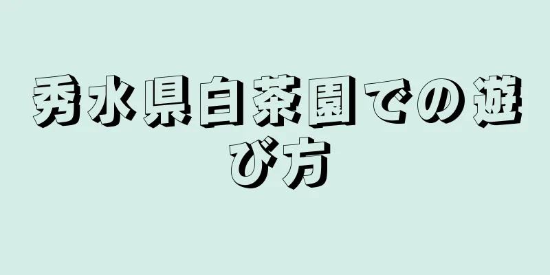 秀水県白茶園での遊び方