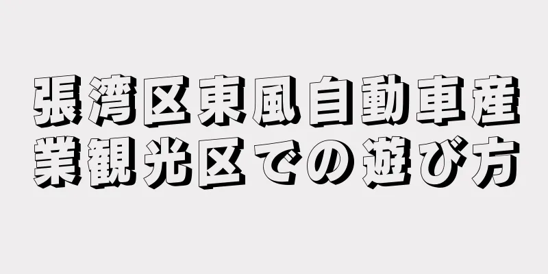 張湾区東風自動車産業観光区での遊び方