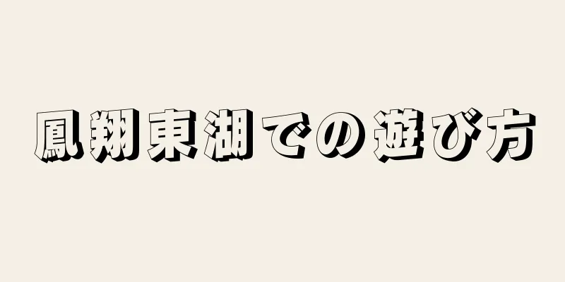 鳳翔東湖での遊び方