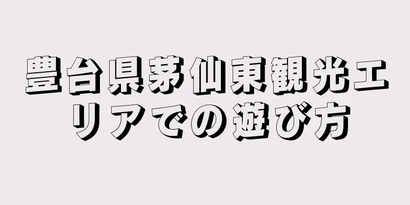 豊台県茅仙東観光エリアでの遊び方