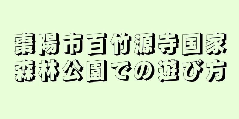 棗陽市百竹源寺国家森林公園での遊び方