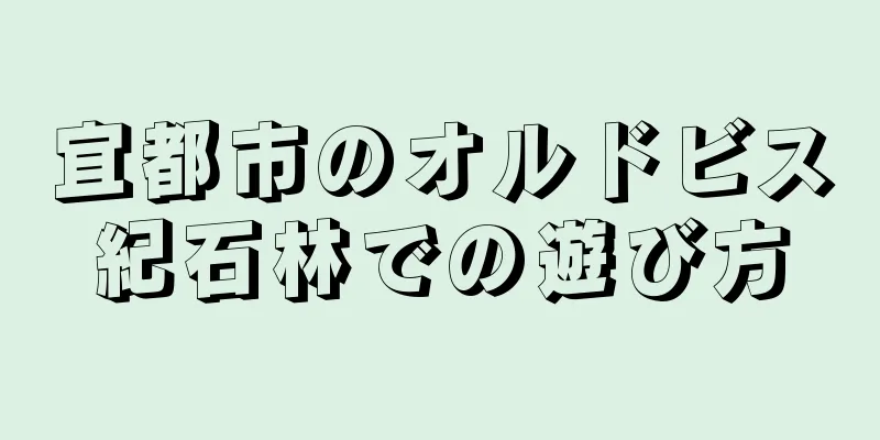 宜都市のオルドビス紀石林での遊び方