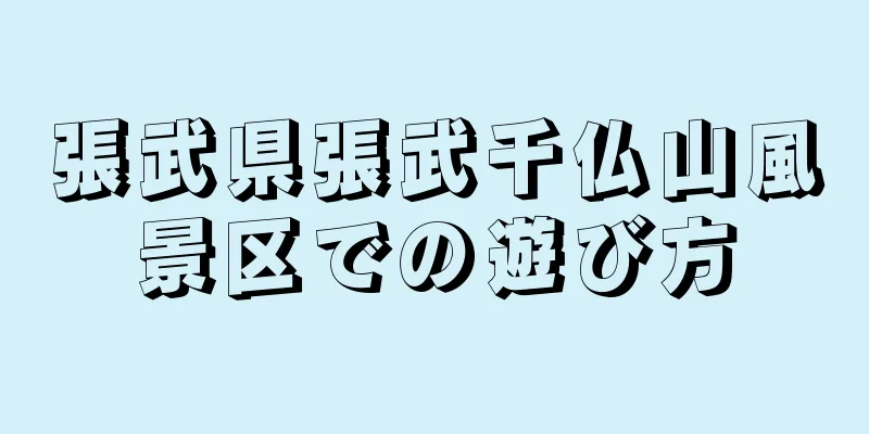 張武県張武千仏山風景区での遊び方