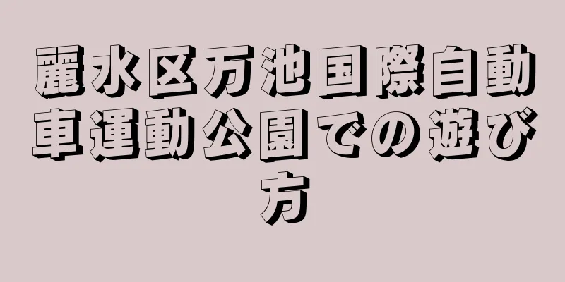 麗水区万池国際自動車運動公園での遊び方