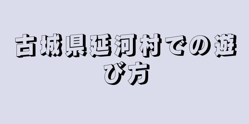 古城県延河村での遊び方