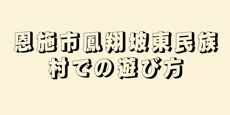 恩施市鳳翔坡東民族村での遊び方