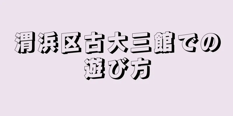 渭浜区古大三館での遊び方