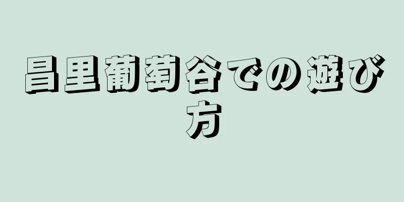 昌里葡萄谷での遊び方