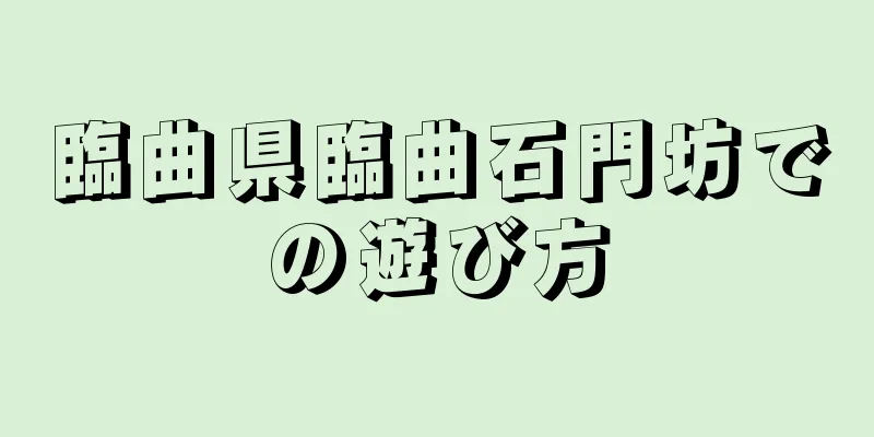 臨曲県臨曲石門坊での遊び方