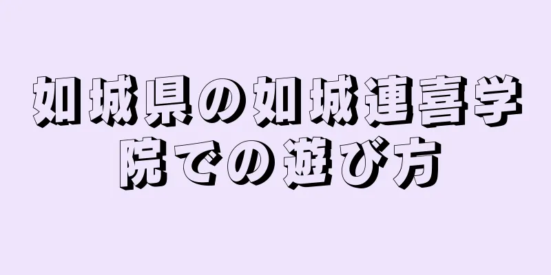 如城県の如城連喜学院での遊び方