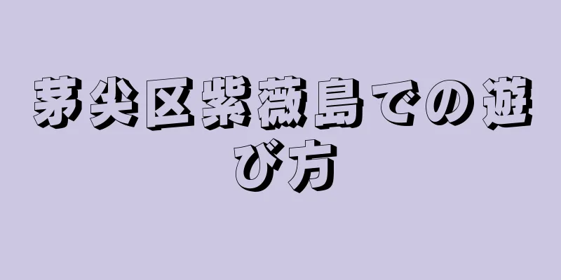 茅尖区紫薇島での遊び方