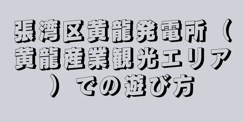 張湾区黄龍発電所（黄龍産業観光エリア）での遊び方