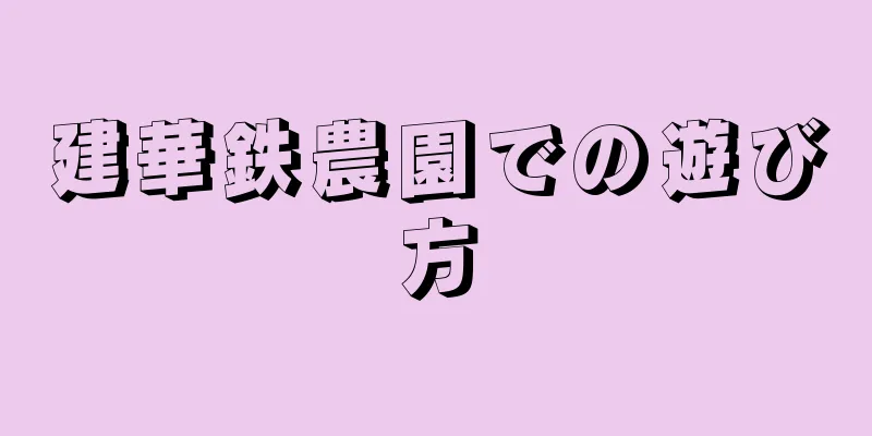 建華鉄農園での遊び方