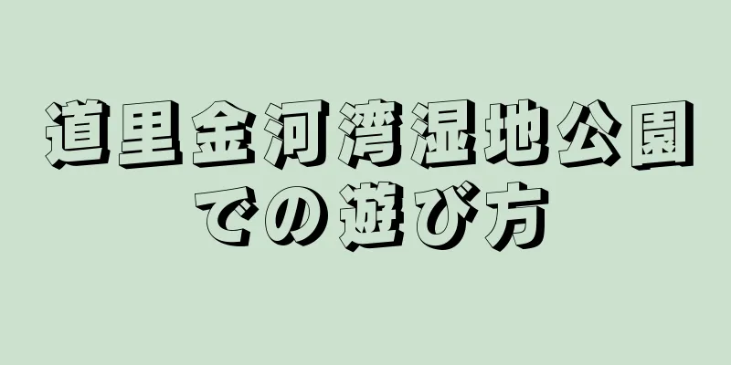 道里金河湾湿地公園での遊び方