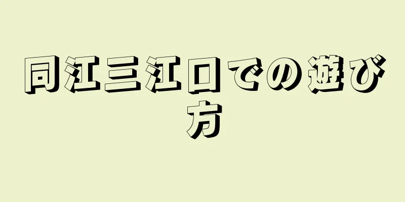 同江三江口での遊び方
