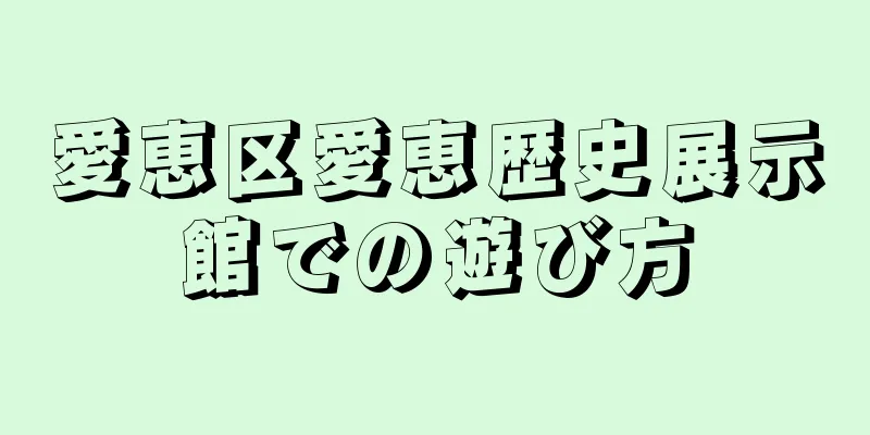 愛恵区愛恵歴史展示館での遊び方