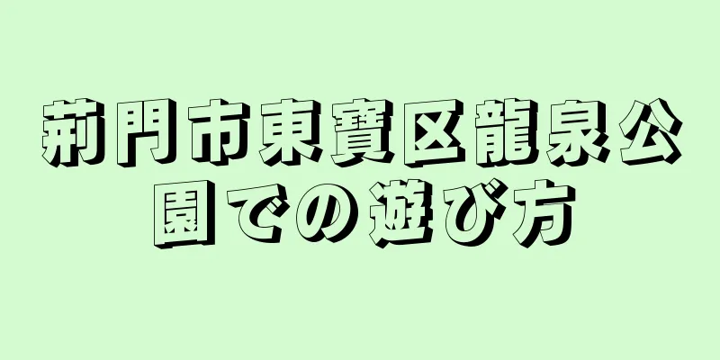荊門市東寶区龍泉公園での遊び方