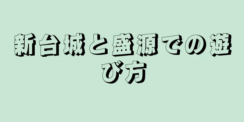 新台城と盛源での遊び方