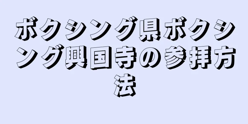 ボクシング県ボクシング興国寺の参拝方法