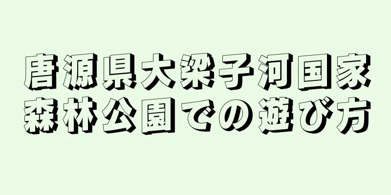 唐源県大梁子河国家森林公園での遊び方