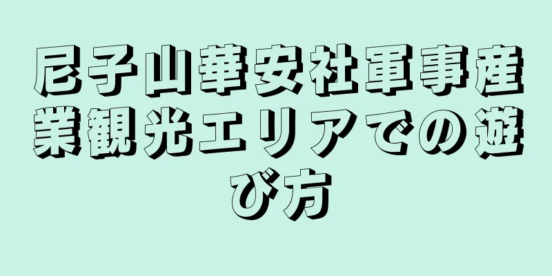 尼子山華安社軍事産業観光エリアでの遊び方