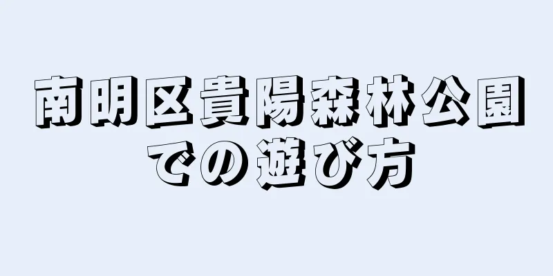 南明区貴陽森林公園での遊び方