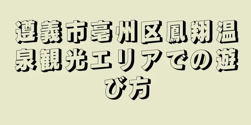 遵義市亳州区鳳翔温泉観光エリアでの遊び方