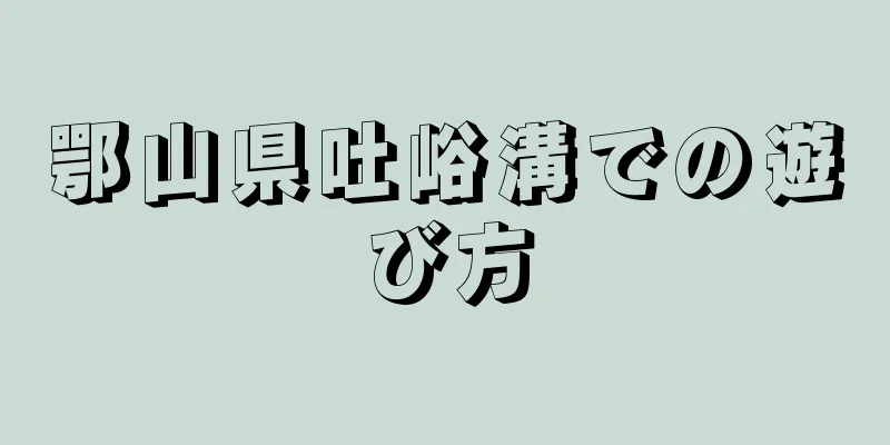 鄂山県吐峪溝での遊び方
