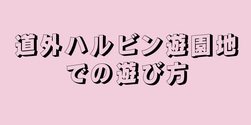 道外ハルビン遊園地での遊び方