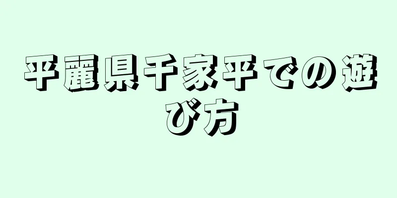 平麗県千家平での遊び方