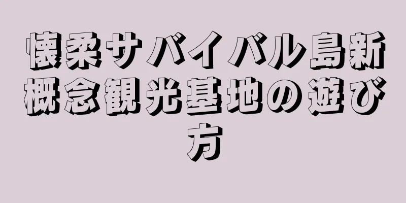 懐柔サバイバル島新概念観光基地の遊び方