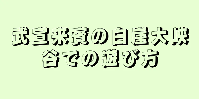 武宣来賓の白崖大峡谷での遊び方
