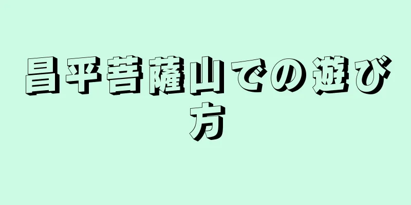 昌平菩薩山での遊び方