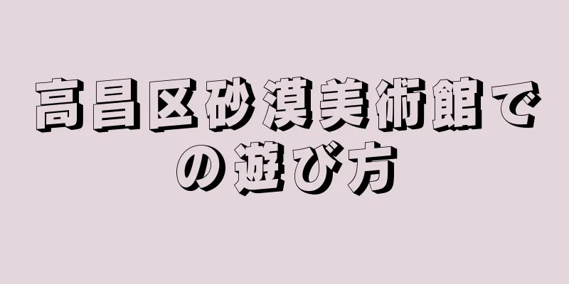 高昌区砂漠美術館での遊び方