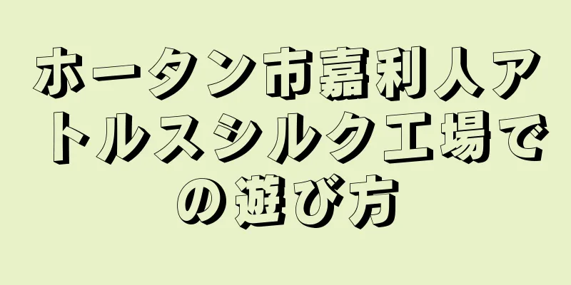 ホータン市嘉利人アトルスシルク工場での遊び方
