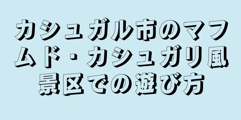 カシュガル市のマフムド・カシュガリ風景区での遊び方