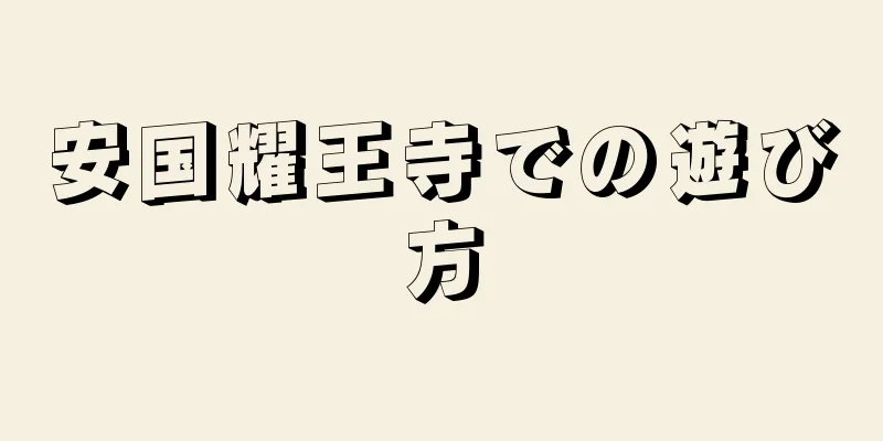 安国耀王寺での遊び方