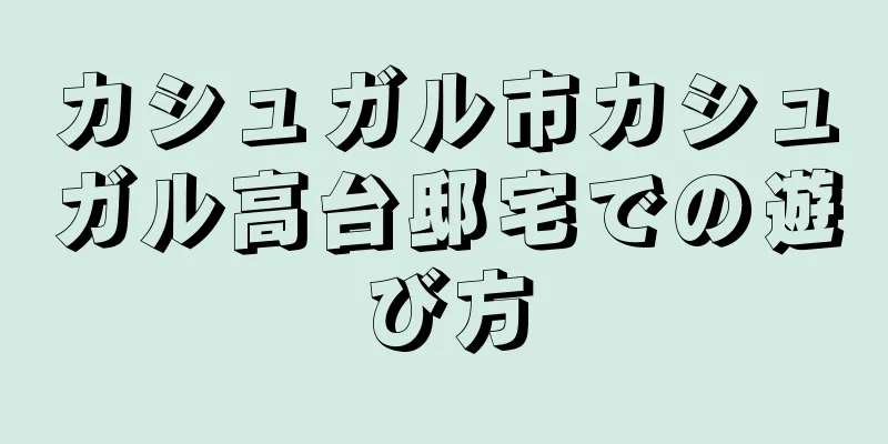 カシュガル市カシュガル高台邸宅での遊び方