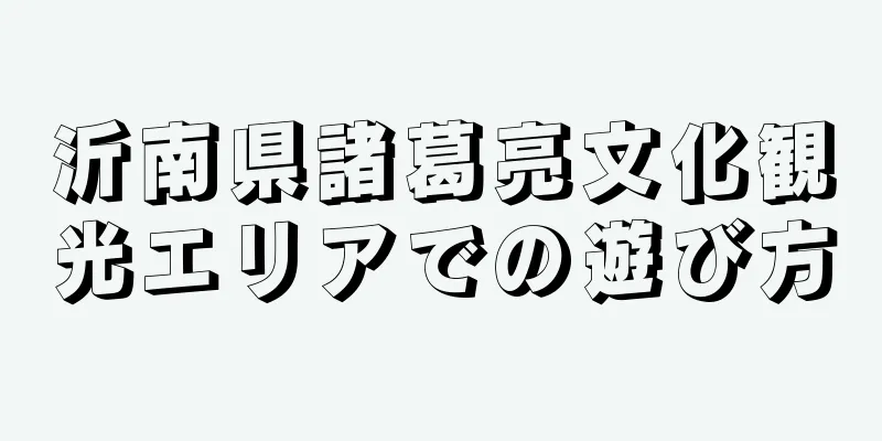 沂南県諸葛亮文化観光エリアでの遊び方