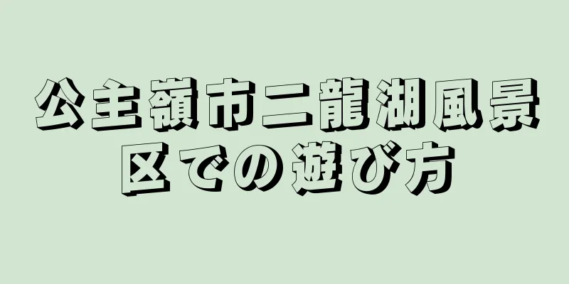 公主嶺市二龍湖風景区での遊び方