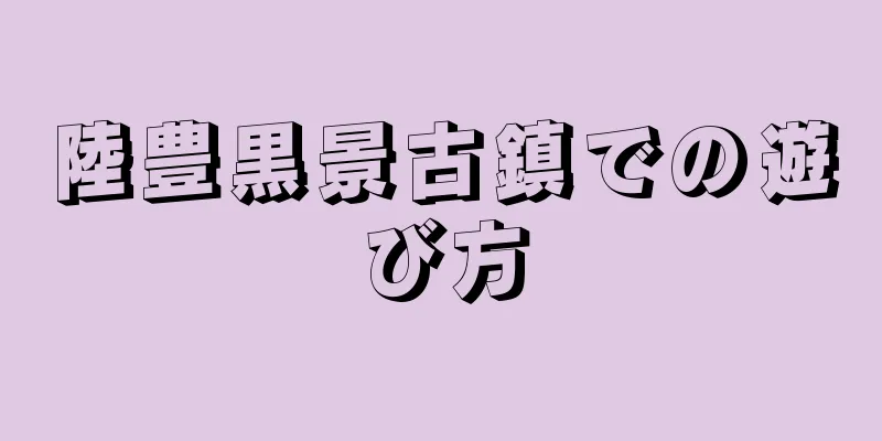 陸豊黒景古鎮での遊び方