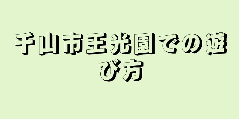 千山市王光園での遊び方