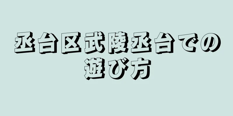 丞台区武陵丞台での遊び方