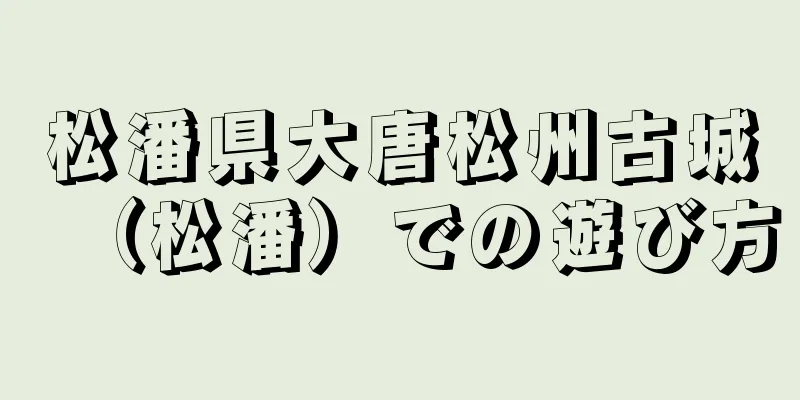 松潘県大唐松州古城（松潘）での遊び方