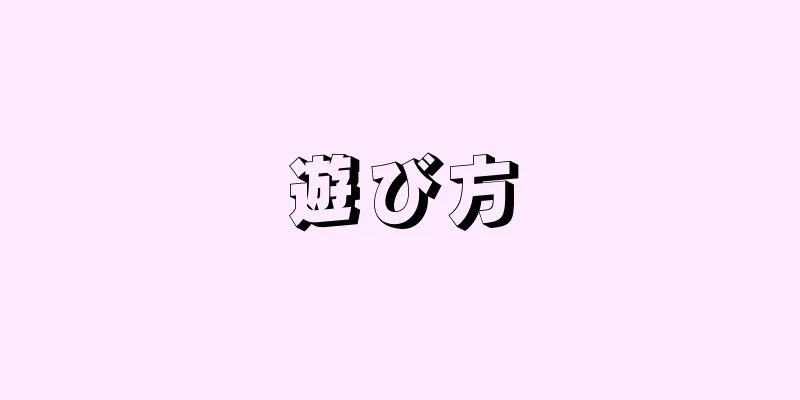 遊び方